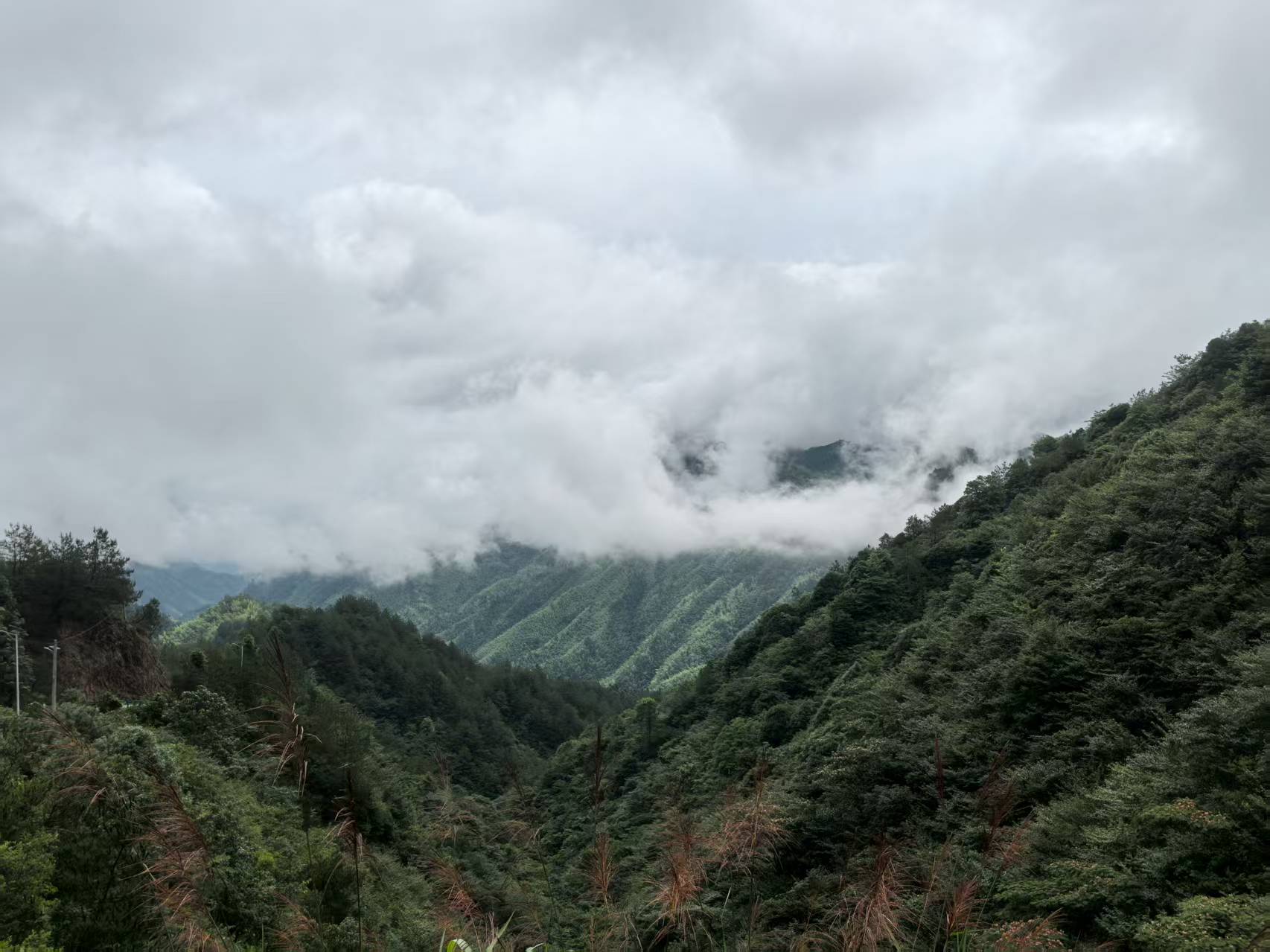 桂东：在绿水青山间书写高质量发展新答卷