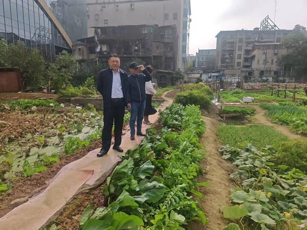 建设路街道：人大代表深入一线检查调研 筑牢安全生产与生态保护双防线