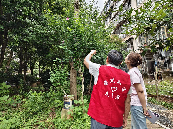 曙光社區(qū)：筑牢“紅色堡壘” 繪就“善治圖景”