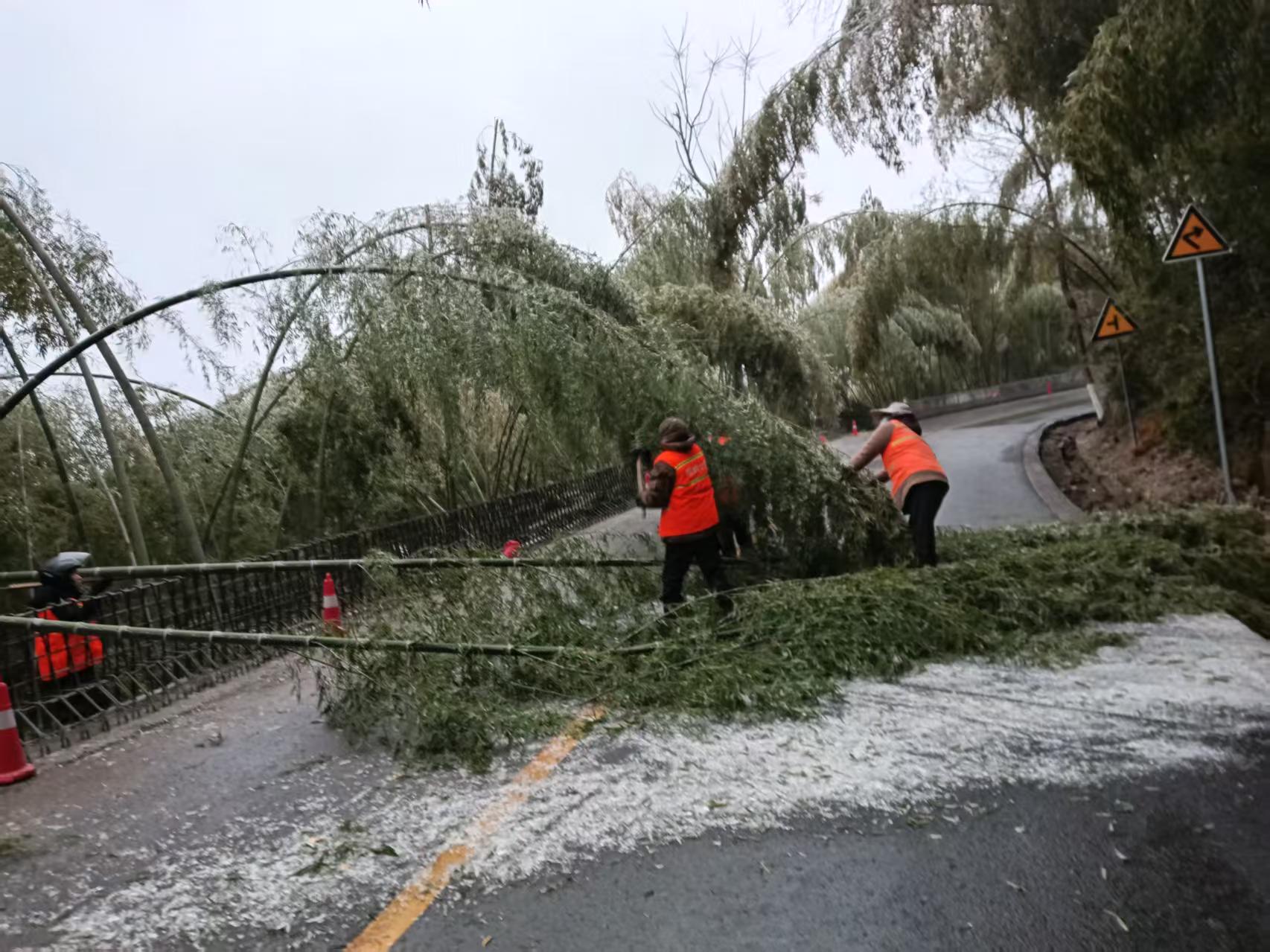 【安全守底行动】县公路建设养护中心：快速响应除隐患 保障道路安全畅通