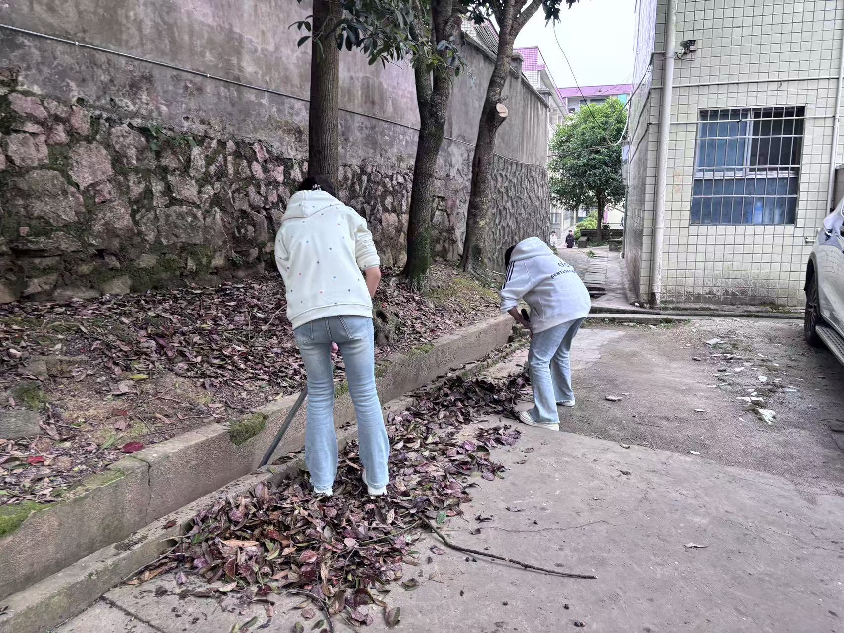 藕团乡中学：清洁校园守安全 劳动育人筑根基