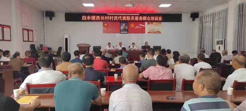 白水镇西长村：村民代表齐亮相，服务群众显身手