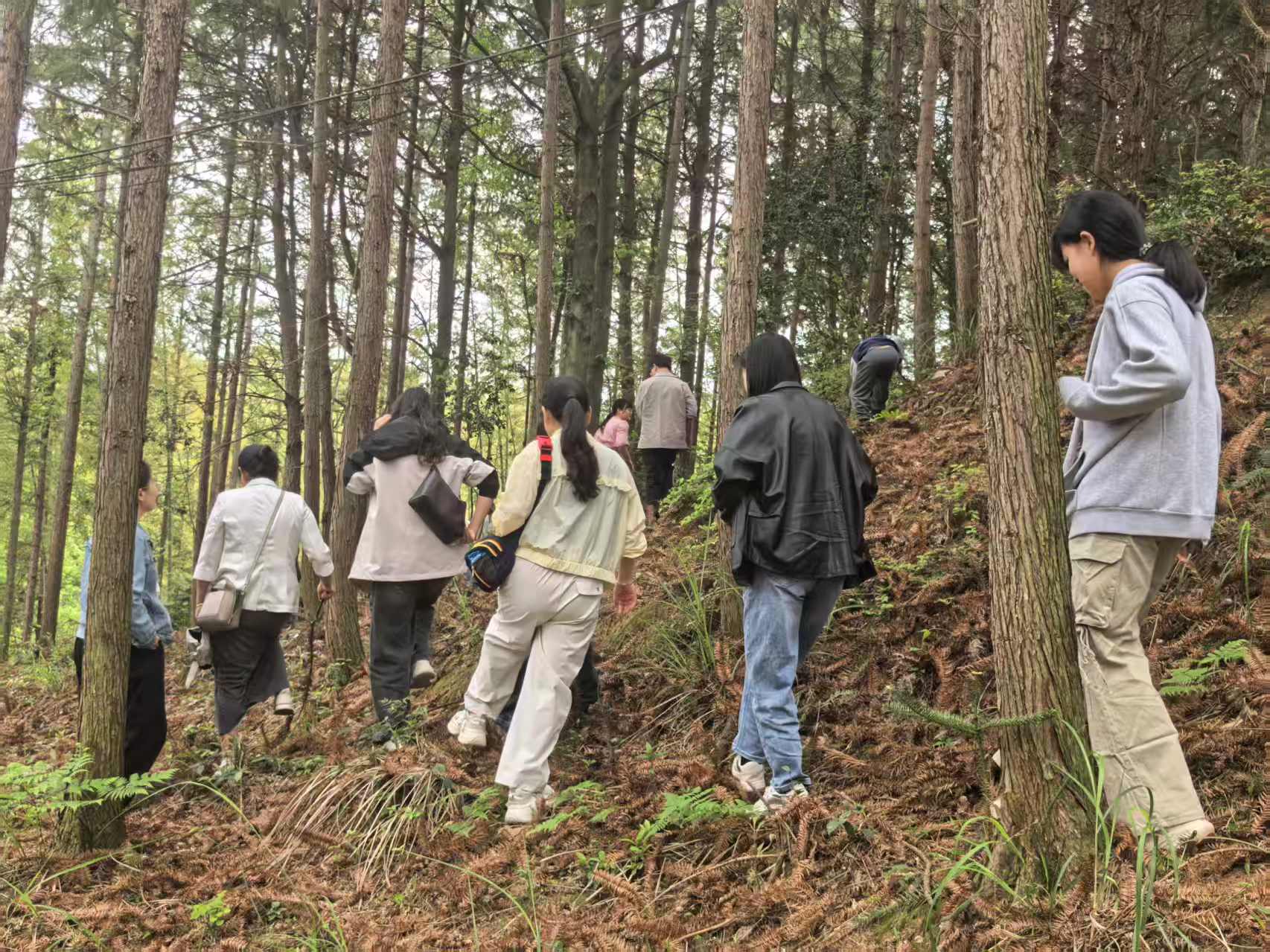 靖州职业教育总校：开展“春风沐怀担使命 党群同心启新程”主题团建活动