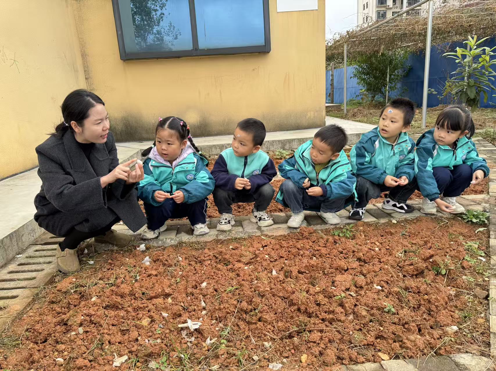 靖州二幼：“一米菜园”开启幼儿劳动教育新课堂