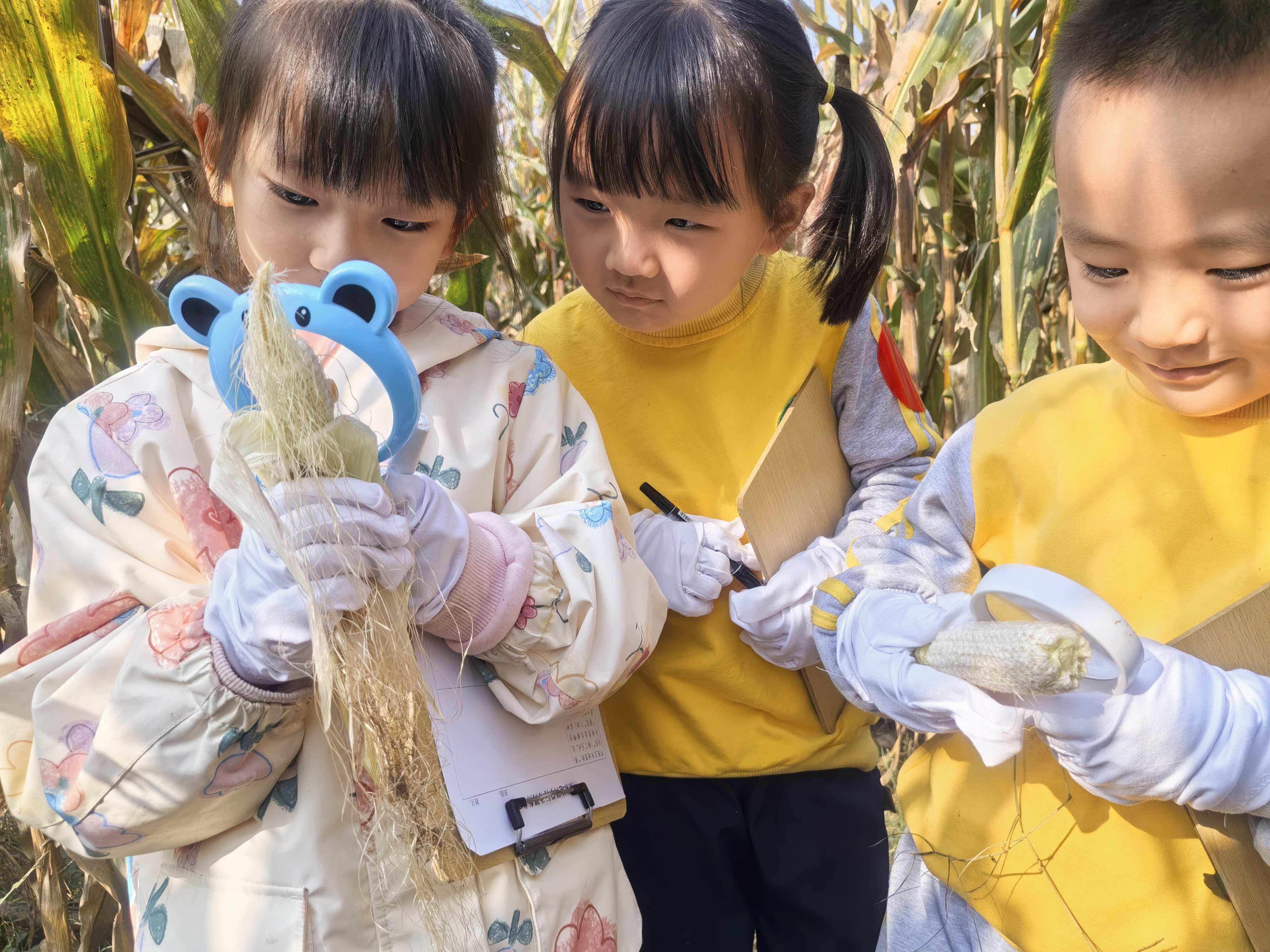 县幼：秸秆田里寻奥秘 小手巧创自然趣