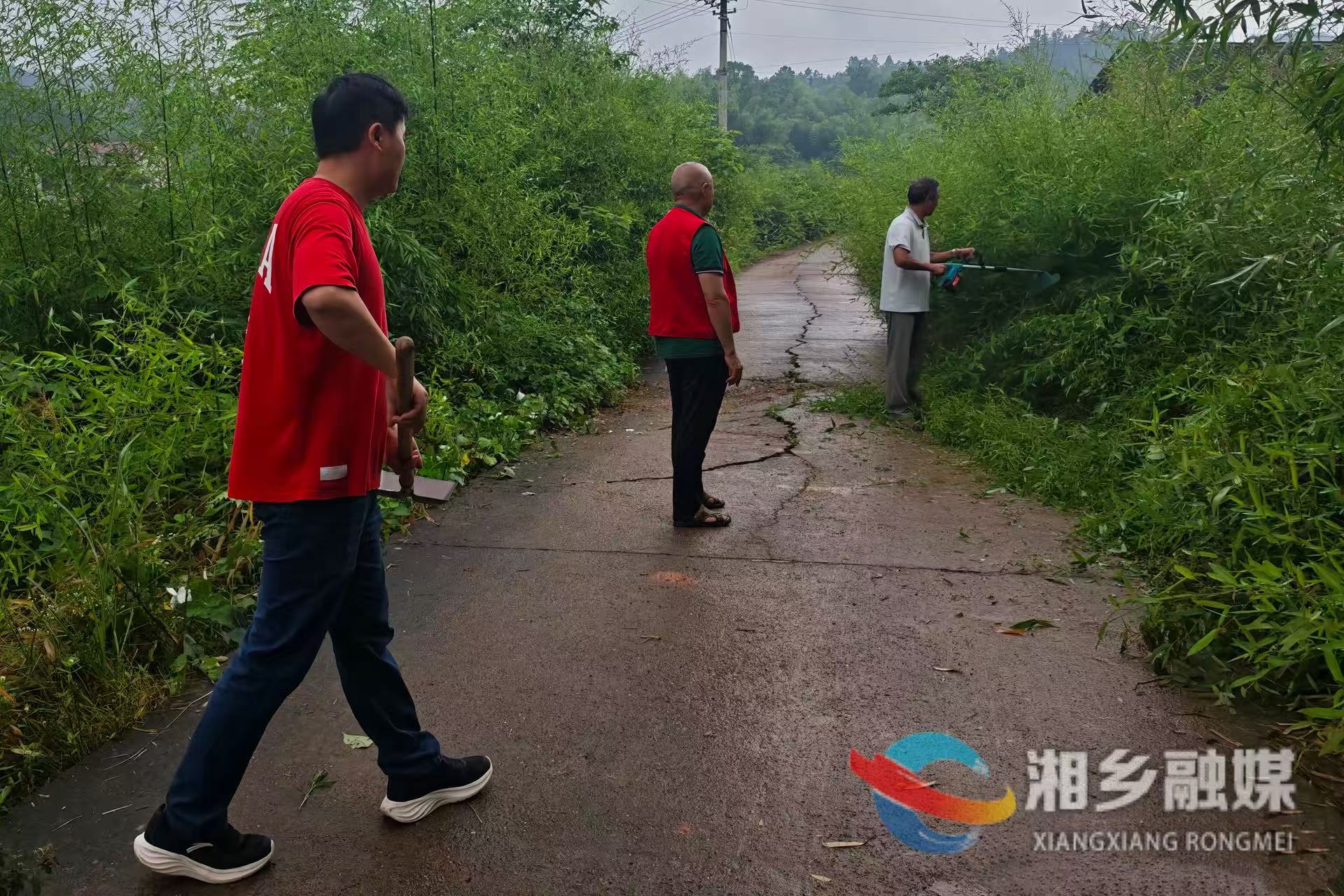 [潭市镇]干群合力除杂草 清爽畅通迎端午