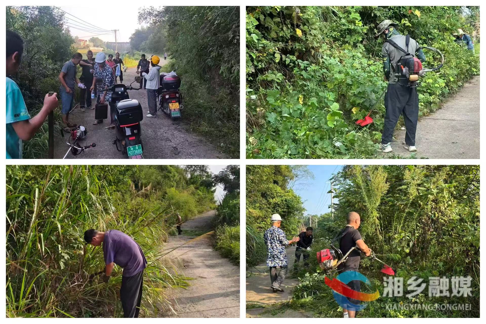 [潭市镇]清除路口杂草“小行动” 护航学子平安“大民生”