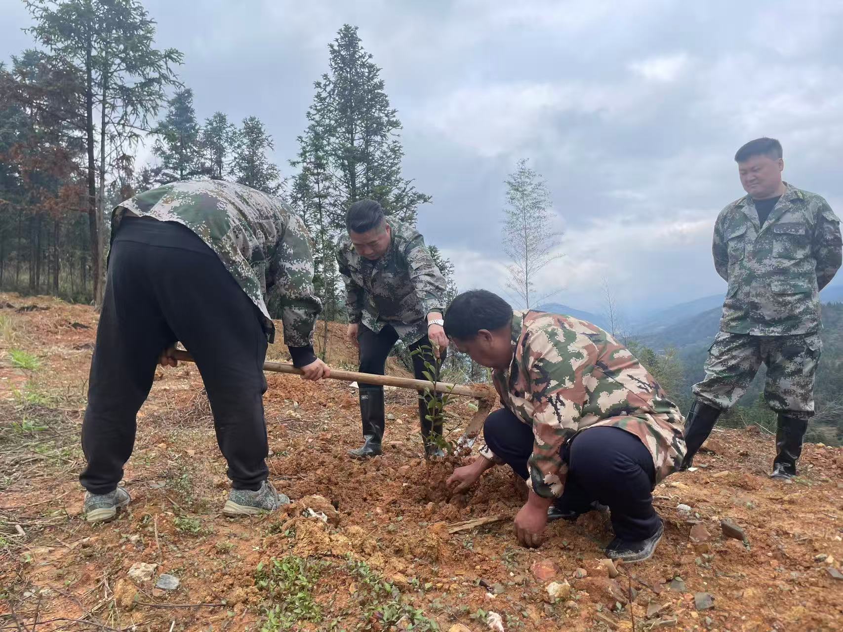 中方县接龙镇开展春季义务植树活动