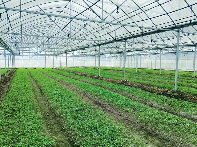 瀘溪：聚智聚力，“人才引擎”助力農(nóng)業(yè)新質(zhì)生產(chǎn)力