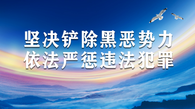 坚决铲除恶黑势力