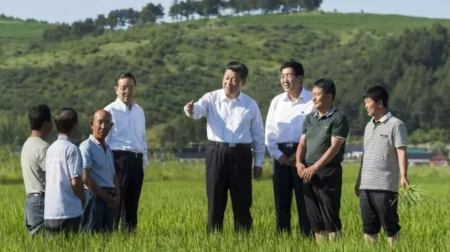 “平”语近人 | 打响品牌农业，湖南特色农业小镇焕发新活力