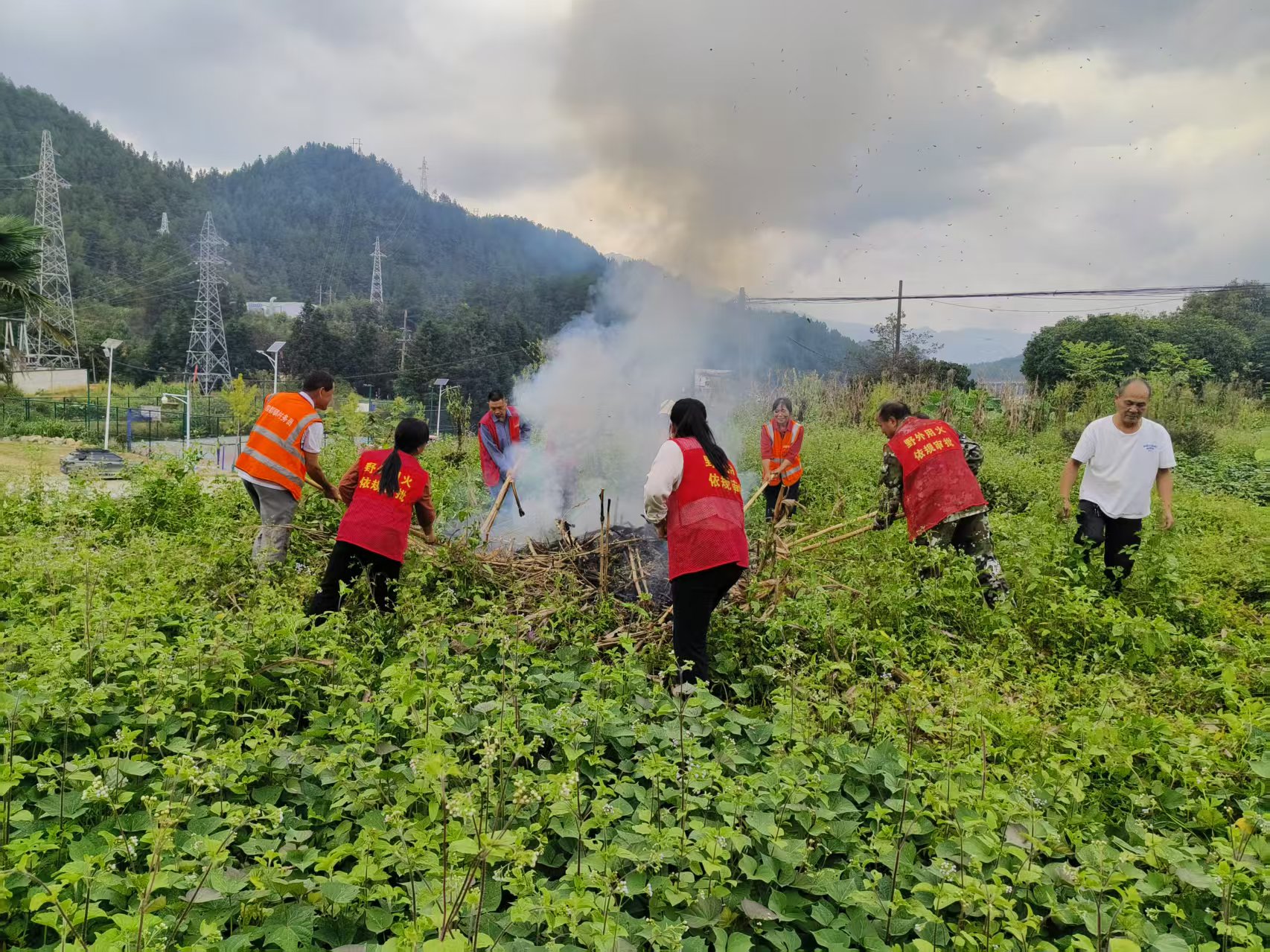 四都镇：以训强技守青山 淬炼精兵护林海