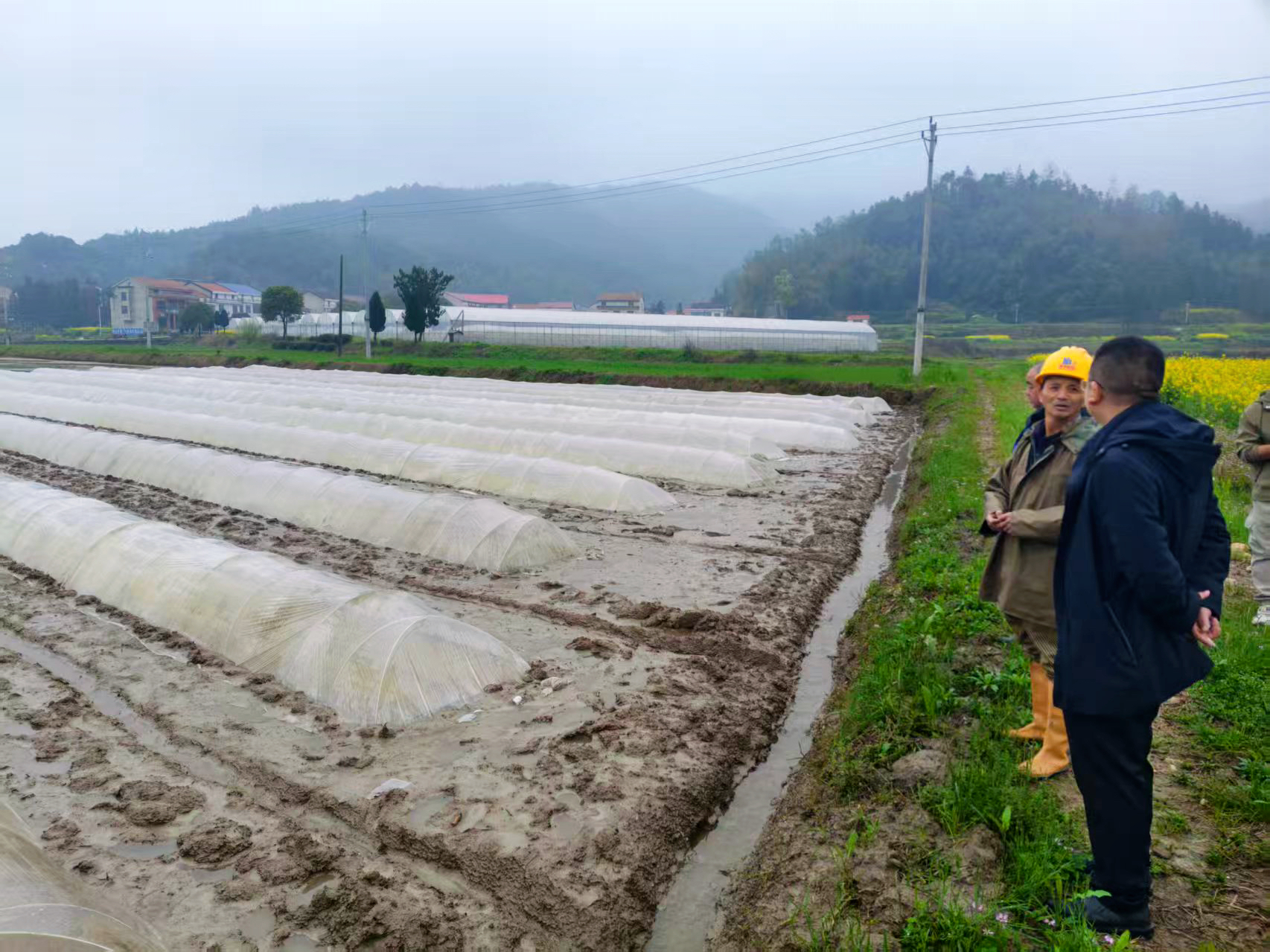 三江镇：抢抓农时忙春耕 集中育秧正当时