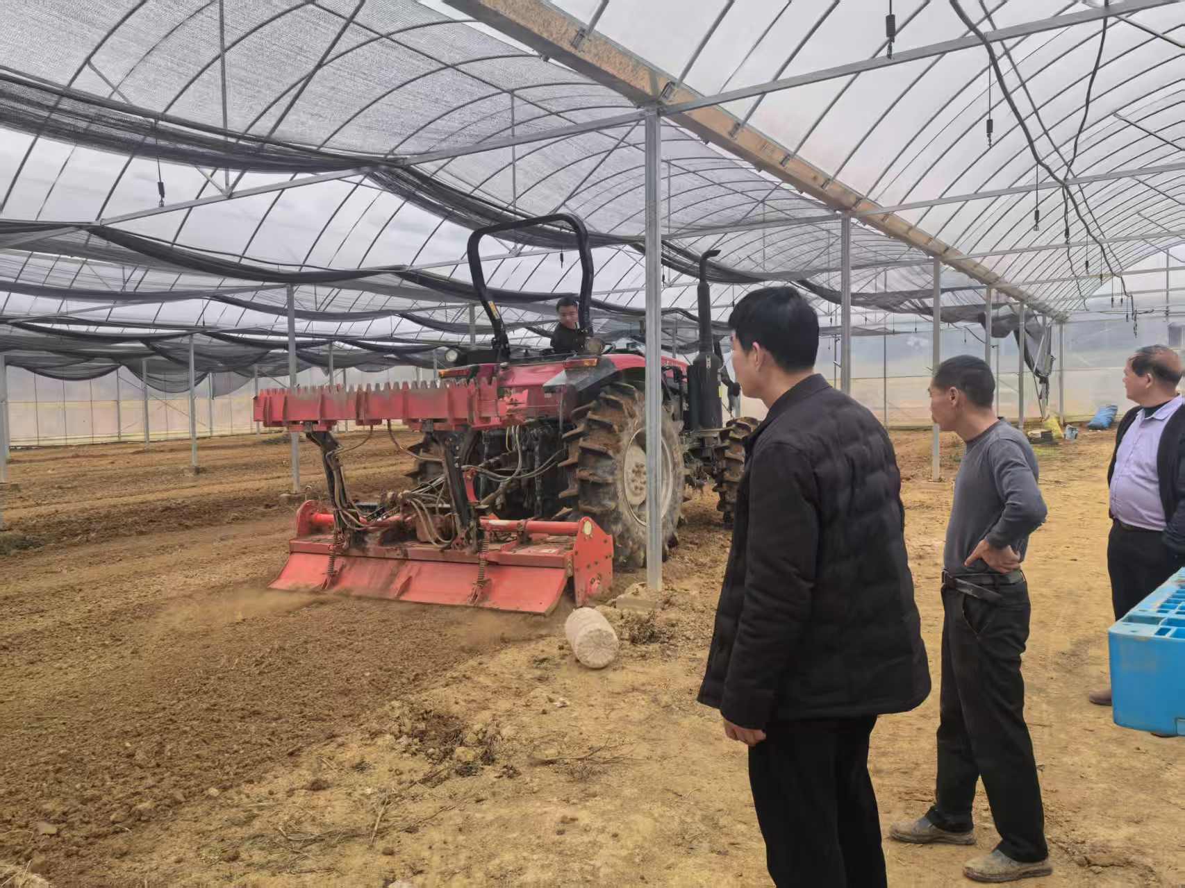 育秧有补贴，高产有奖励！神鼎山镇出实招稳粮增收