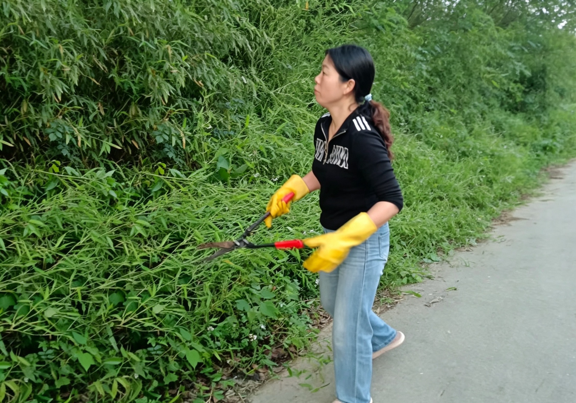 “村子是我们共同的家！”神鼎山镇苏南村村民自发清理道路扮靓家园