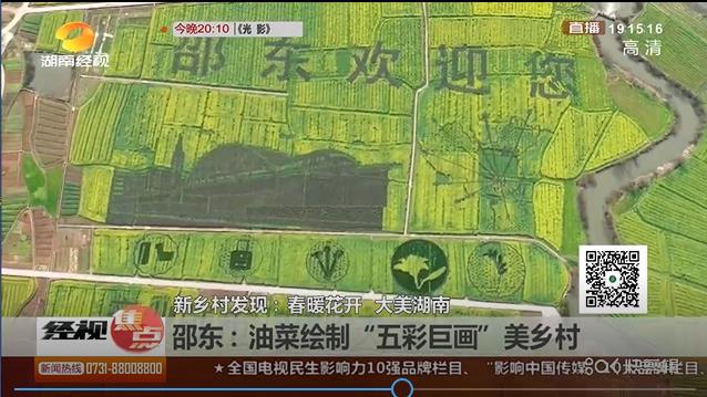 邵东：油菜绘制“五彩巨画”美乡村