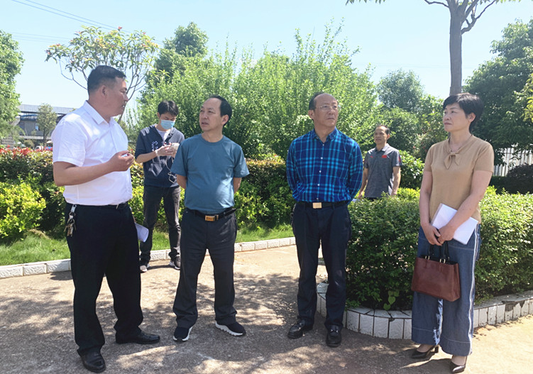 省人大调研组来邵东市调研全民健身工作