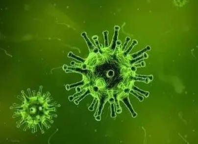 多起鼻病毒感染疫情 邵东疾控回应：只是普通感冒