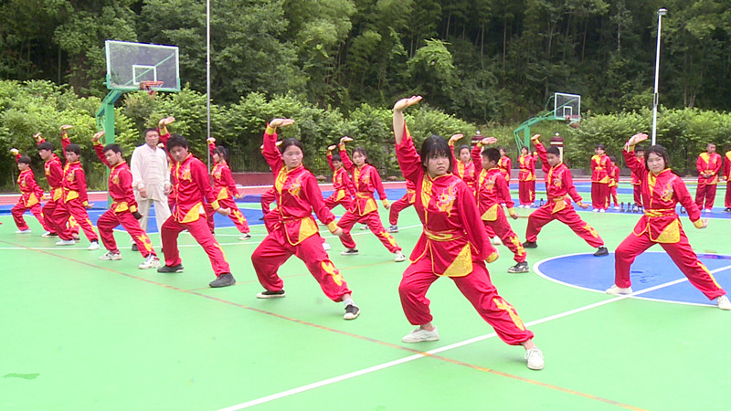 中湘刘氏武术进校园显活力