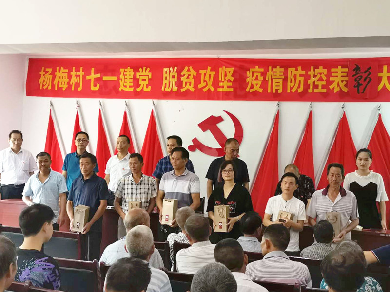 流泽镇杨梅村召开“庆七一、齐抗疫、促脱贫”表彰会
