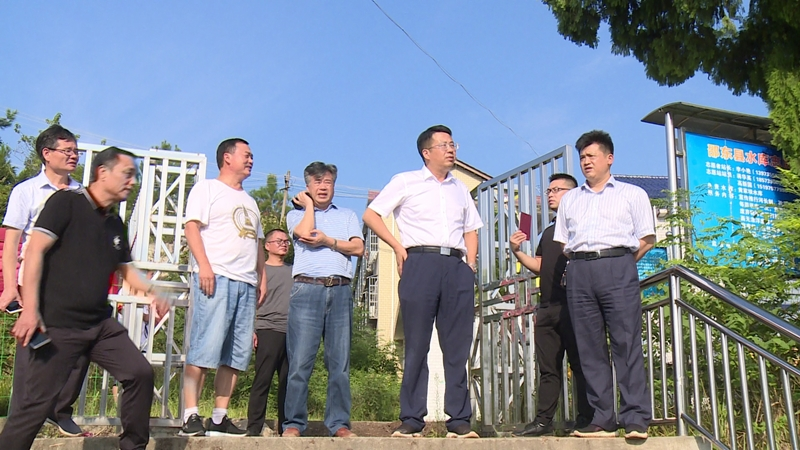 沈志定巡河督办河库问题整改工作