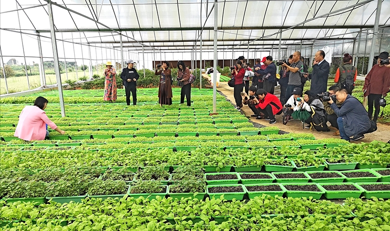 邵东市举行“文旅融合·多彩生活”摄影创作采风活动