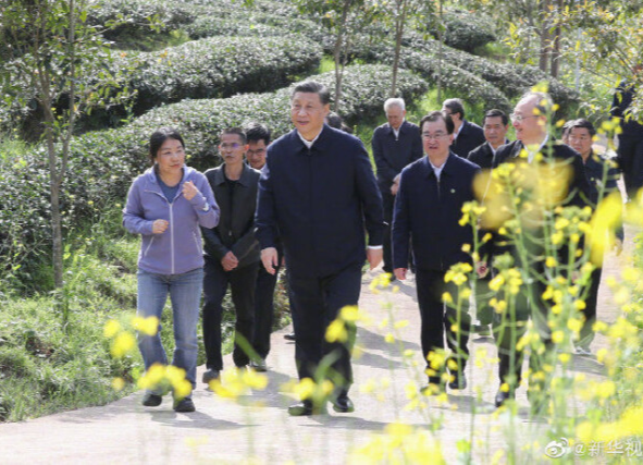 习近平考察朱熹园谈文化自信：没有中华五千年文明，哪有我们今天的成功道路