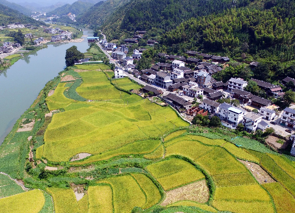走三湘大地，看特色小镇