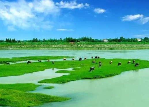 生态“接力跑”， 潇湘满目春