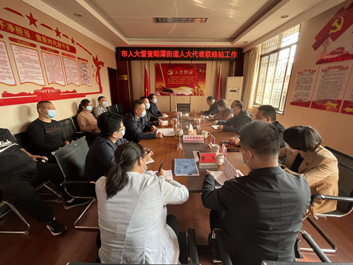 【督战进行时】市人大常委会一行督查昭潭街道近期重点工作