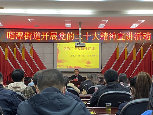 “为理而来”昭潭街道深入宣传党的二十大精神
