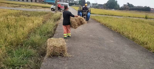 长城乡：防火利剑行动，保一方平安