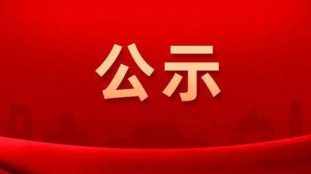 双峰县城投集团选聘合同制工作人员拟聘用人员公示