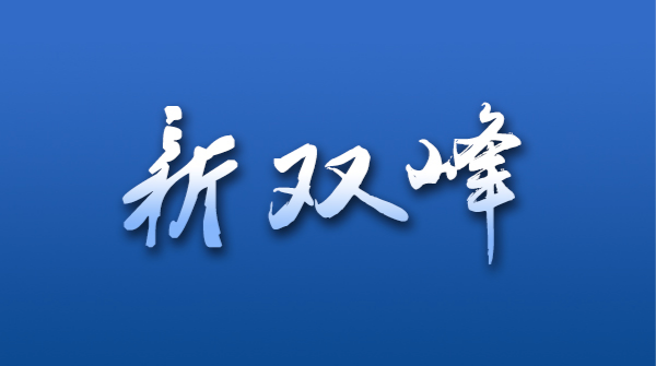 縣委辦到杏子鋪鎮龍返村開展“進村入戶鞏固月”活動