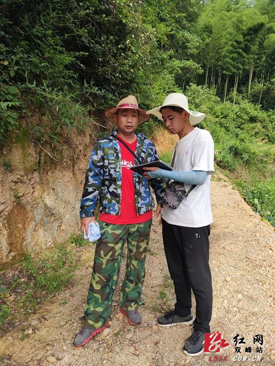 双峰：三伏天战酷暑，林业人调查爬山忙