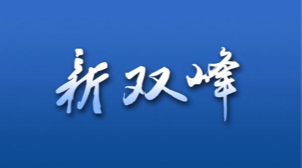 甘棠镇：推动安全生产工作抓实见效