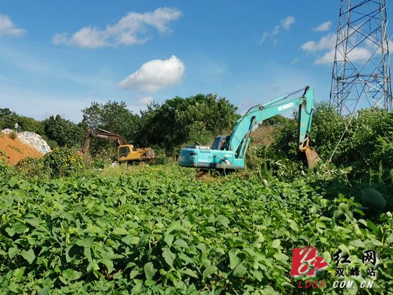 永丰街道：加快推进南北环线项目建设