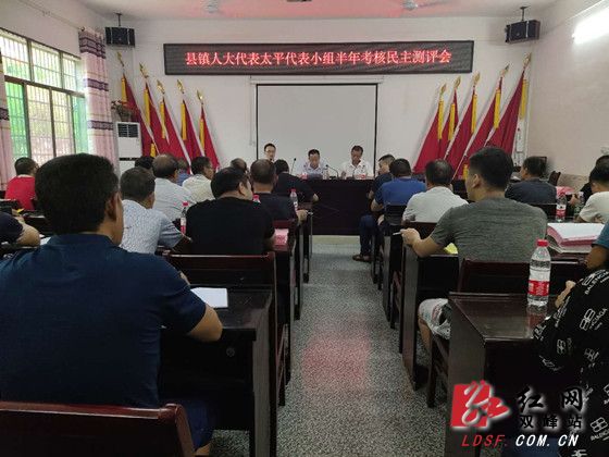 洪山殿镇：人大代表接受民主测评
