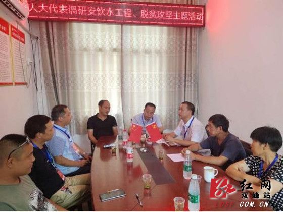 洪山殿镇开展人大代表调研主题活动
