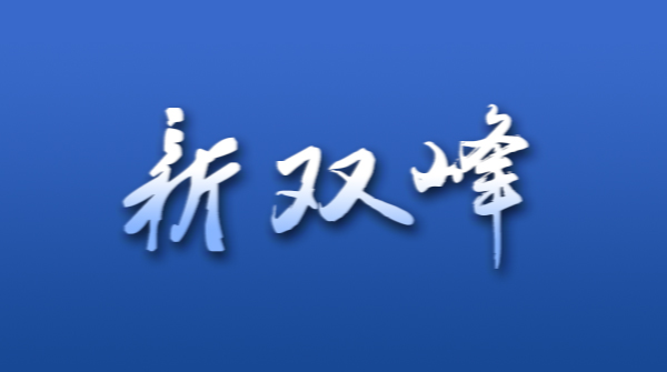 青树坪镇：集中上牌打通服务群众最后一公里