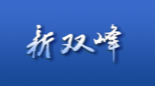 双峰县“互联网+村级小微权力监督”改革试点措施工作调研座谈会召开