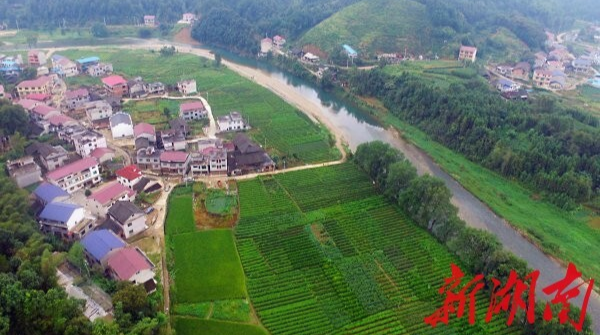 走向胜利·决战决胜乡村述说丨勤劳换得幸福来
