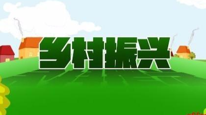乡村振兴