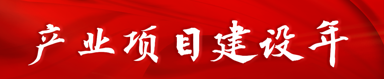 产业项目建设年