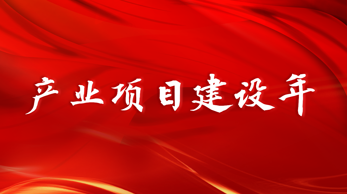 产业项目建设年