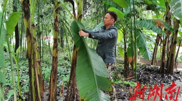 走向胜利·决战决胜乡村述说丨洋泉湾茶馆：“五道二十四碟”上桌