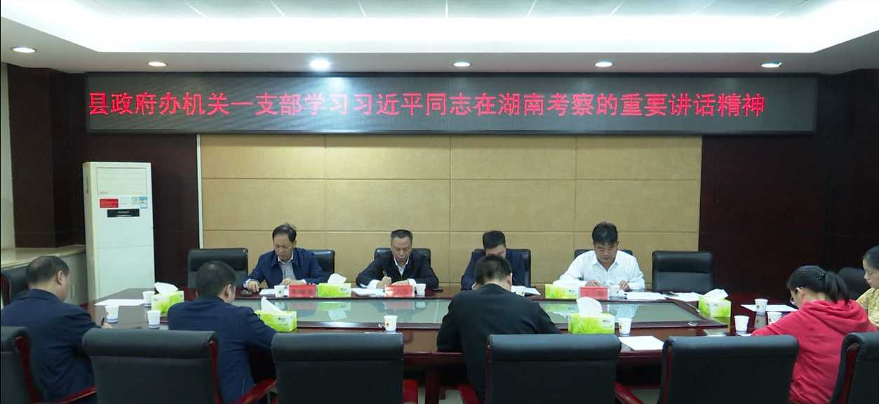 县政府办机关一支部专题学习习近平总书记在湖南考察时的重要讲话精神