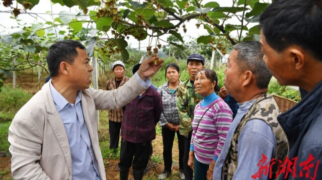 湖南高质量打赢脱贫攻坚战丨联点督查 问题清零