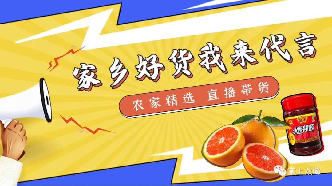 雙峰人民廣播電臺“家鄉好貨我來代言”——洋潭無花果