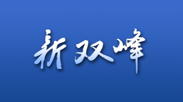 双峰县2020年事业单位公开招聘工作人员公告